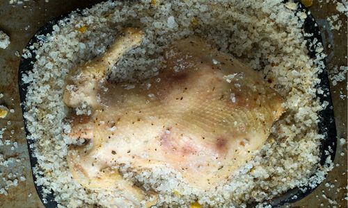 Salt Roasting Basics - Cooking Techniques – Dartagnan.com